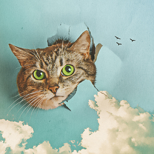 少妇裸体做爰高潮流江水
