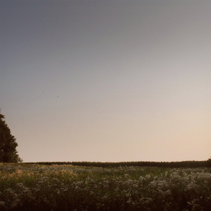 少妇裸体做爰高潮流江水
